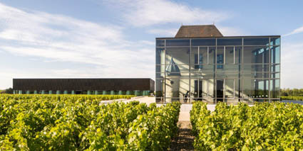 Chateau Pedesclaux Gebäude und Weinberge